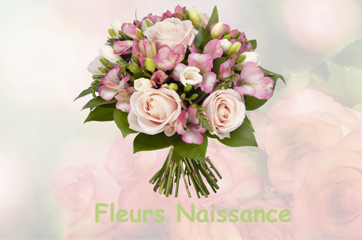 fleurs naissance MAULEON-BAROUSSE